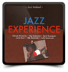 disco_jazz_experience
